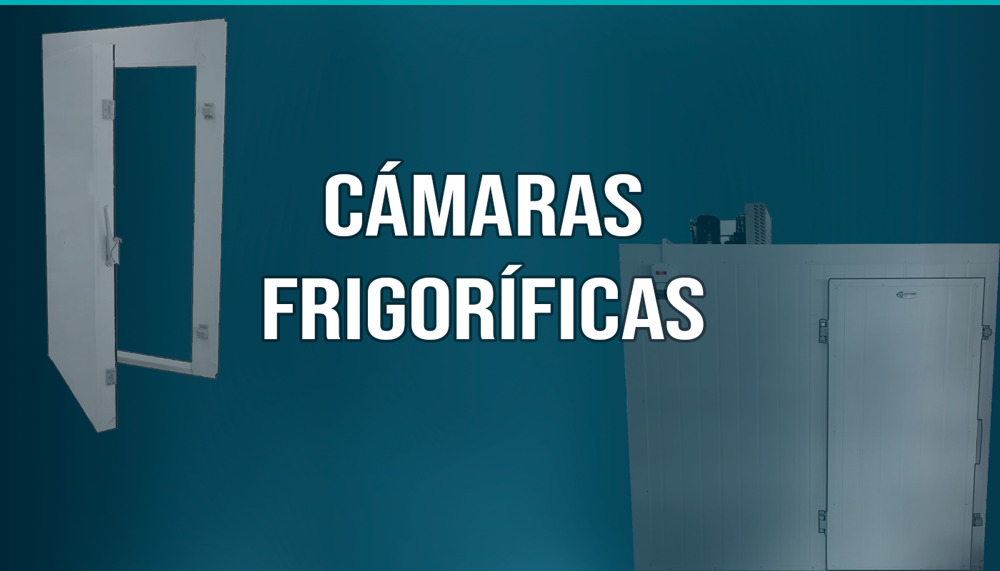 Camaras